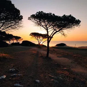 https://asfodelo.in-sardinia.net
